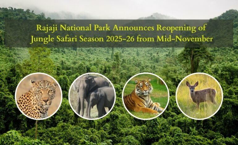 Rajaji National Park Announces Reopening of Jungle Safari Season from Mid-November